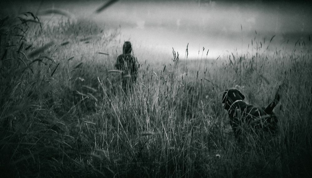Photograph by Игорь Ротахин