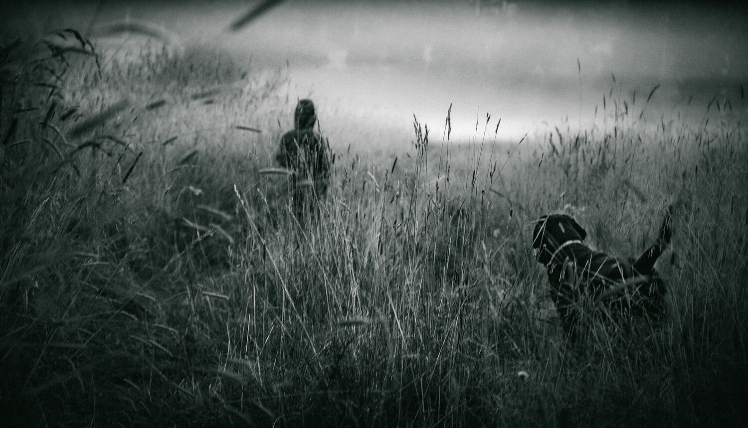 Photo #13536731