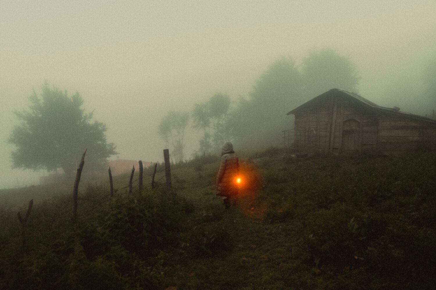 Photo #13536820