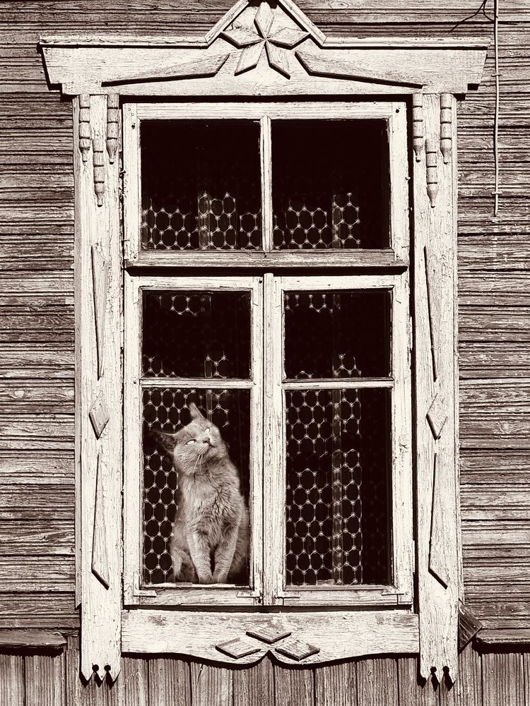 Фотография автора Жанна Колесникова
