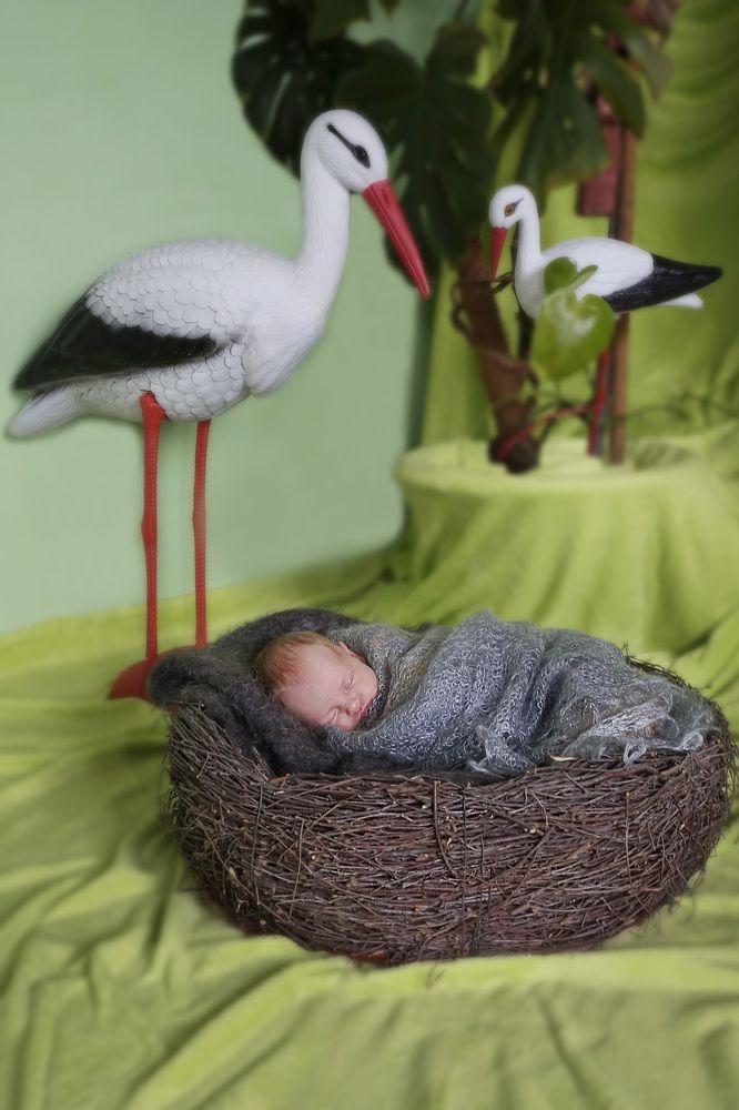 Photograph by Ольга Шангареева