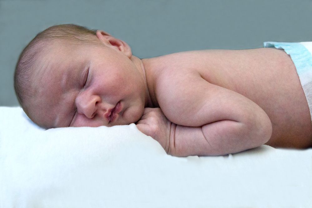 Photo #13536861