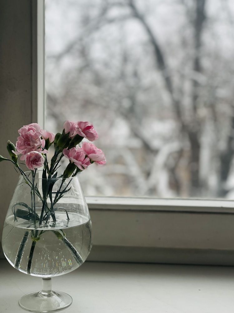 Photograph by Марина Колтукова
