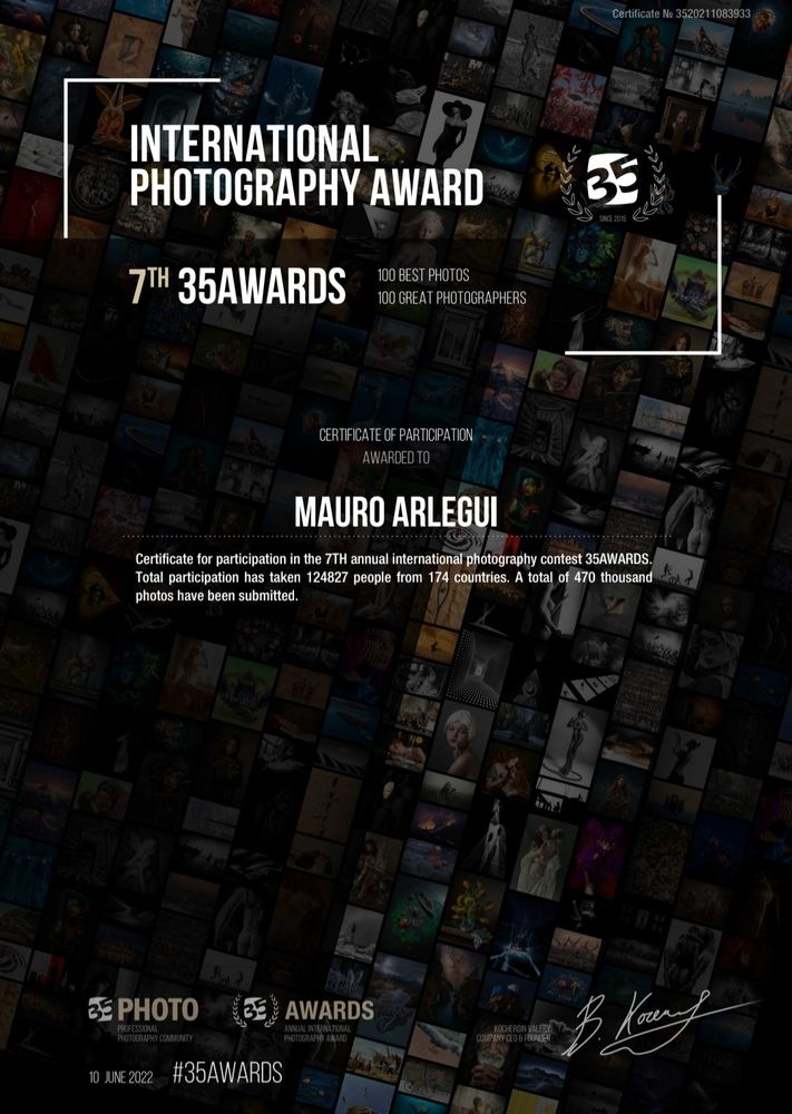 Mauro Arlegui - Diploma 7ª Versión 35 Awards (7th Edition Certificate)