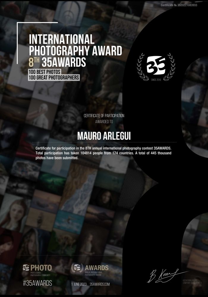 Mauro Arlegui - Diploma 8ª Versión 35 Awards (8th Edition Certificate)
