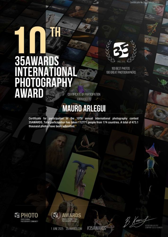 Mauro Arlegui - Diploma 10ª Versión 35 Awards (10th Edition Certificate)