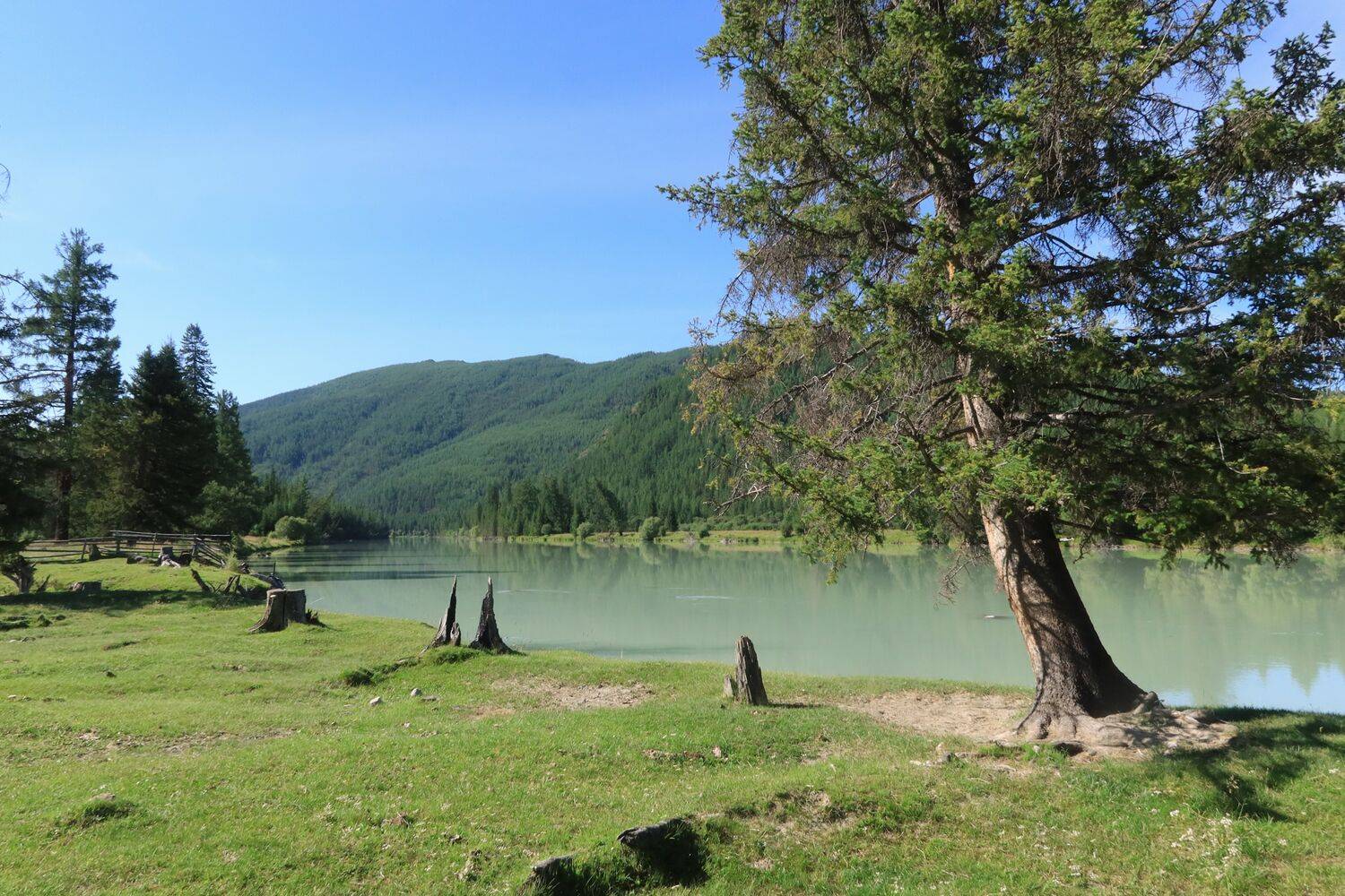 На берегу реки Аргут