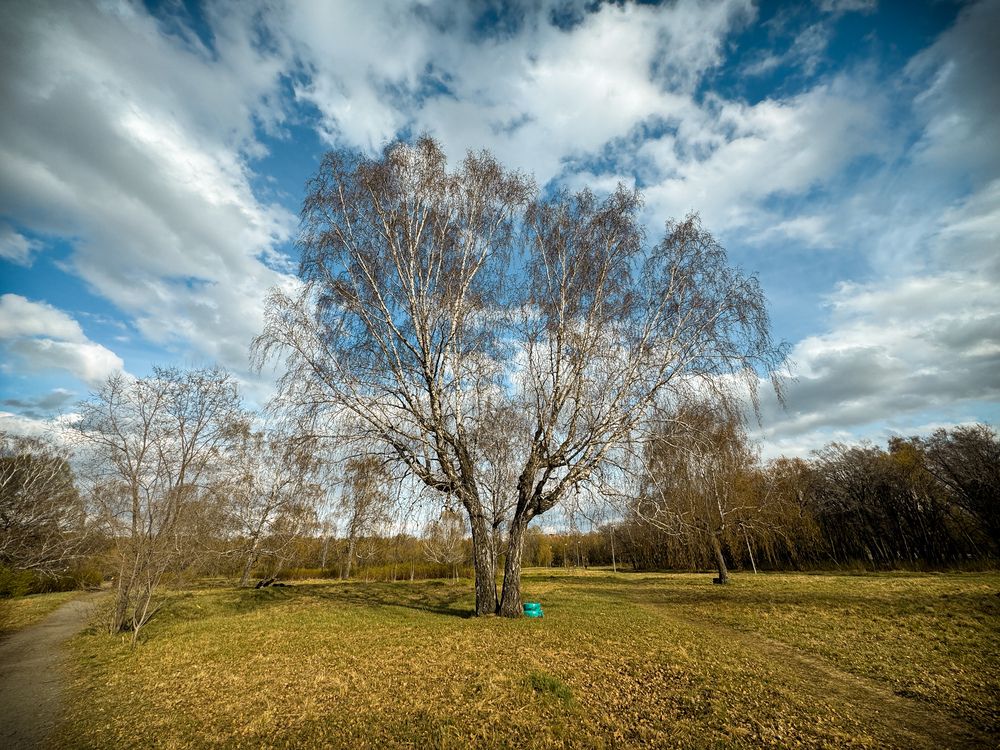 Photograph by Потапова Анна