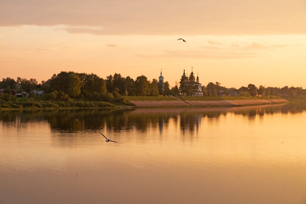 Фотография автора Наталья Липовская