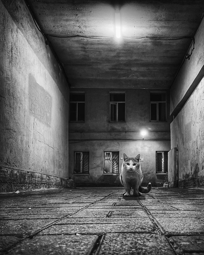Photograph by Бенгард Виталий