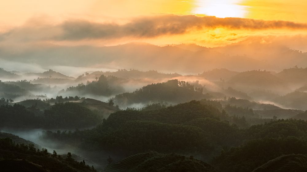 Photograph by Ngoc Hieu Bui