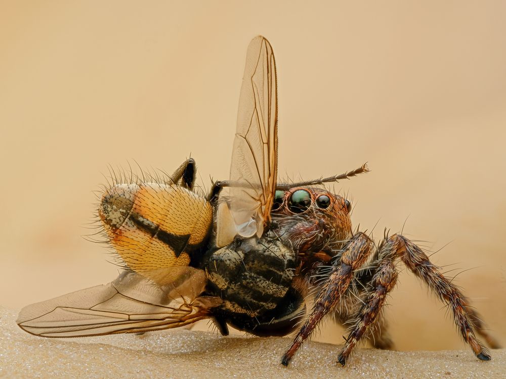 Photograph by Ngoc Hieu Bui