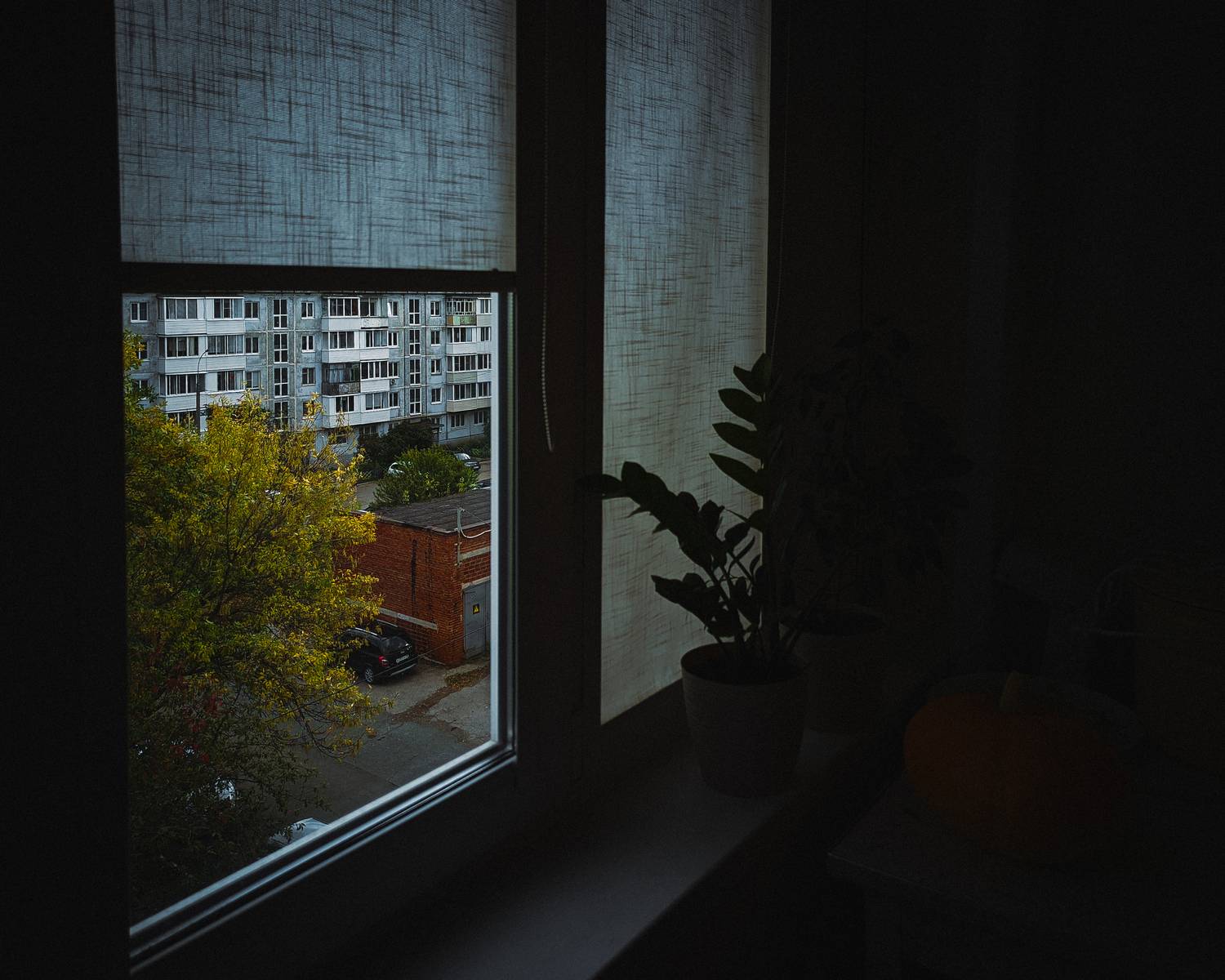Photo #13537636