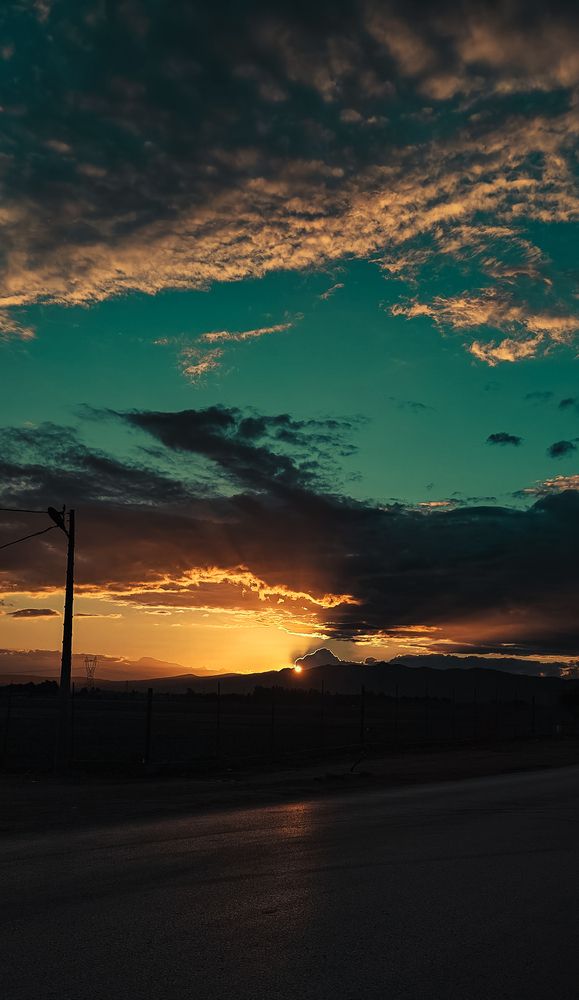Photo #13537650