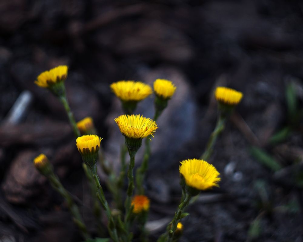 Photograph by Mark Litvak