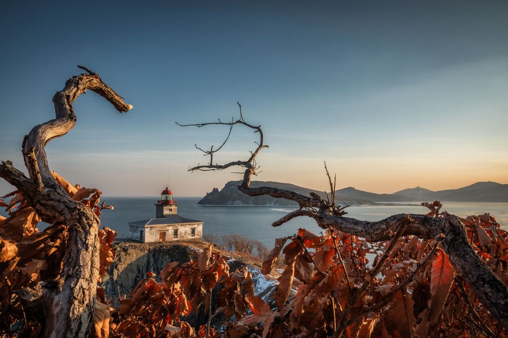 Photograph by Елена Станькова