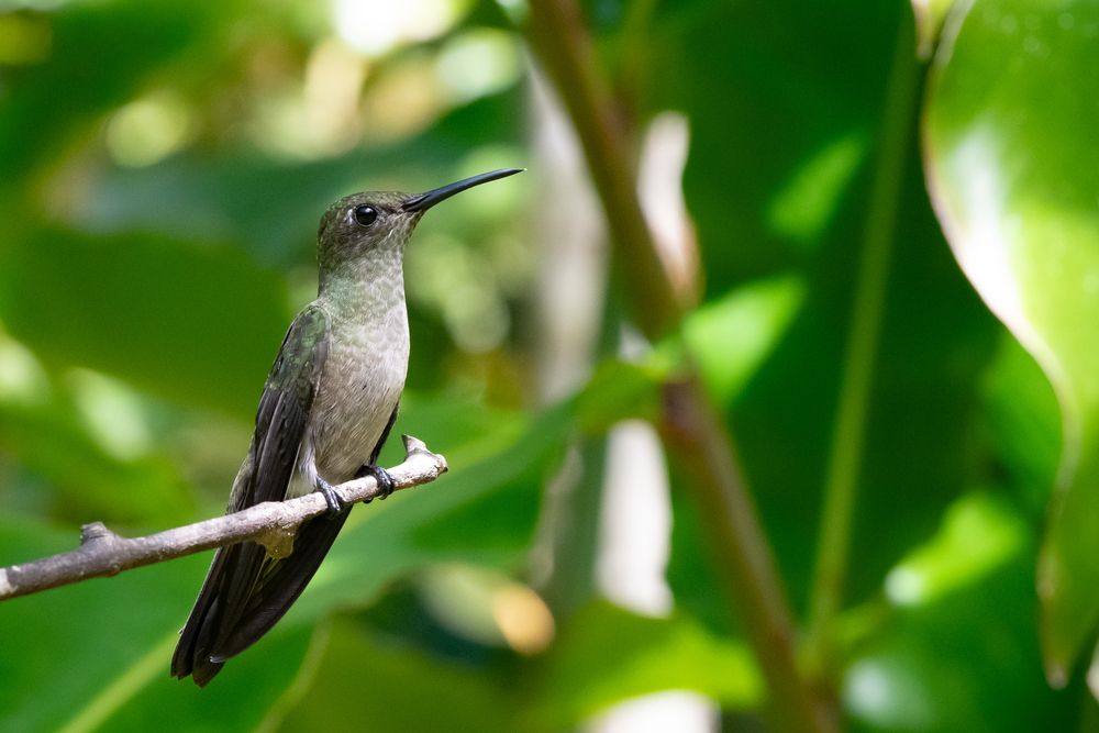 Photograph by Valmir Fernando da Silva