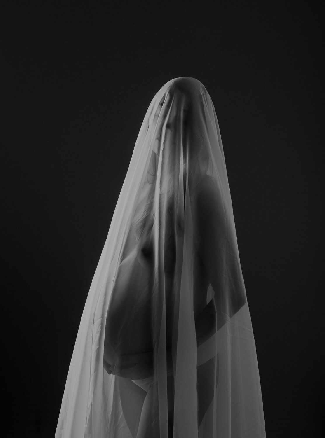 Photo #13538000