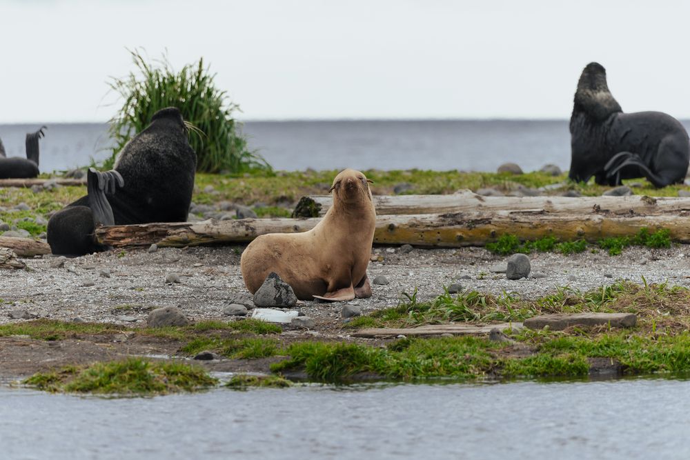 Photograph by Vladimir goiiiguk