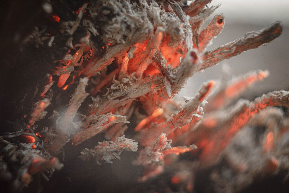 Photo #13538077