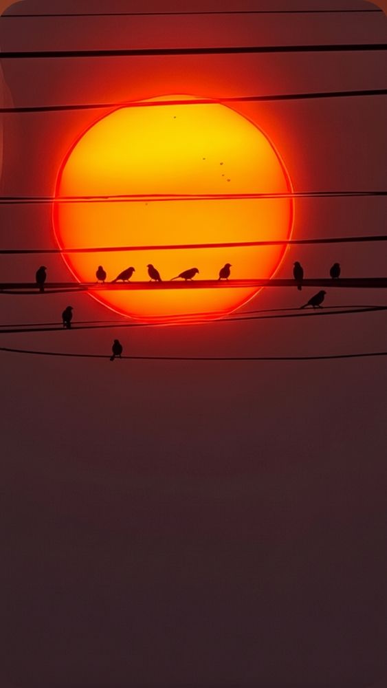 Photograph by Дарья