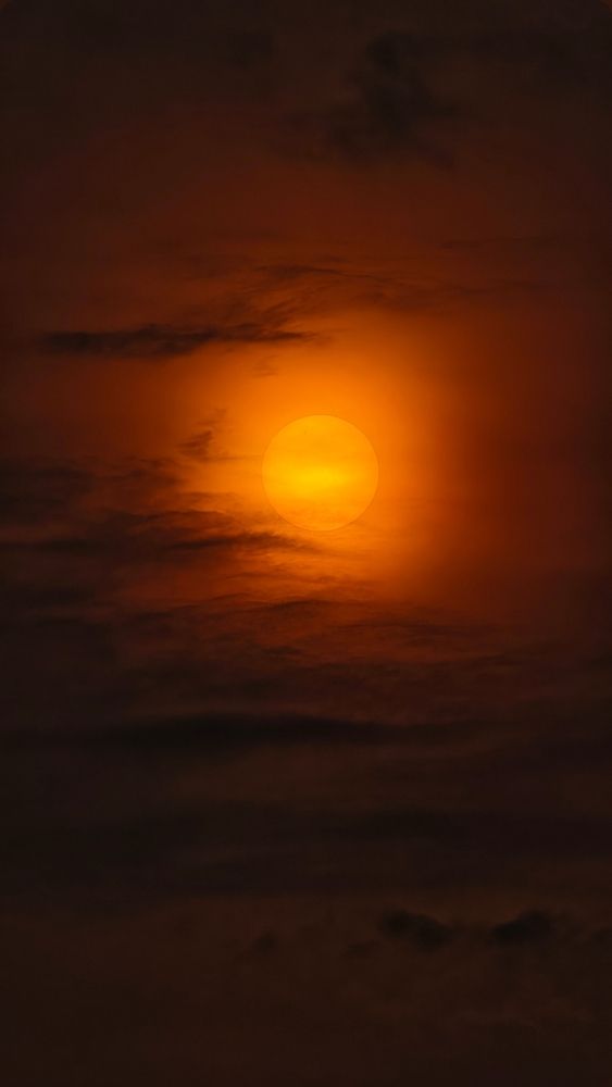 Photograph by Дарья