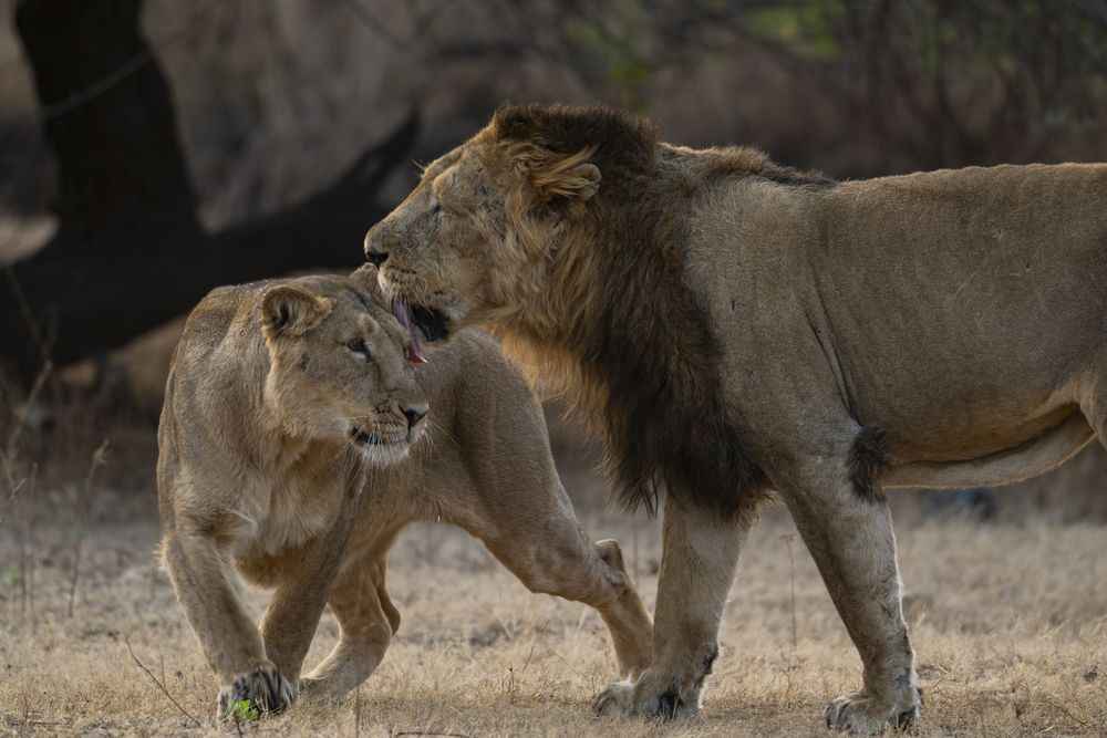 Photograph by Pramod Bayya