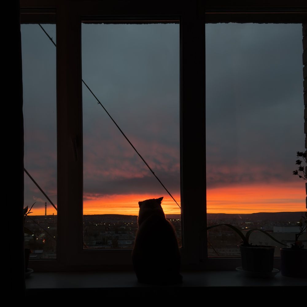 Photograph by Евгения Брагина