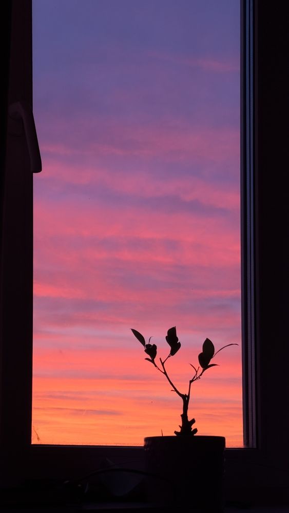 Photograph by Евгения Брагина