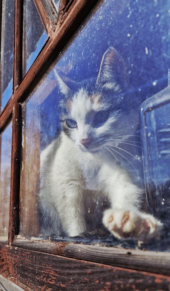 Photograph by Екатерина