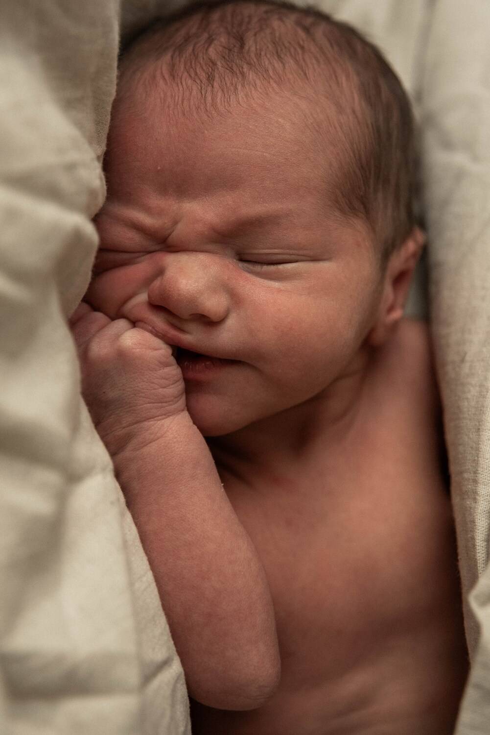 Photo #13538434