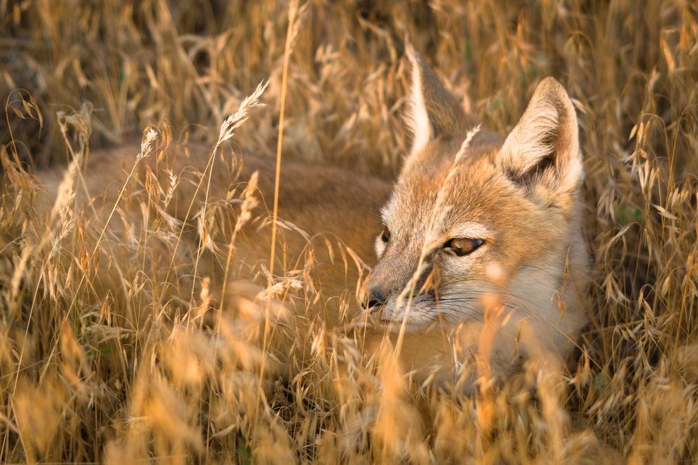 Photograph by John Doe