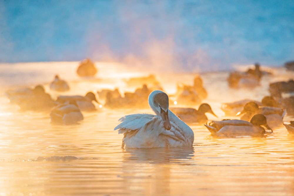 Photograph by Саша Козырев