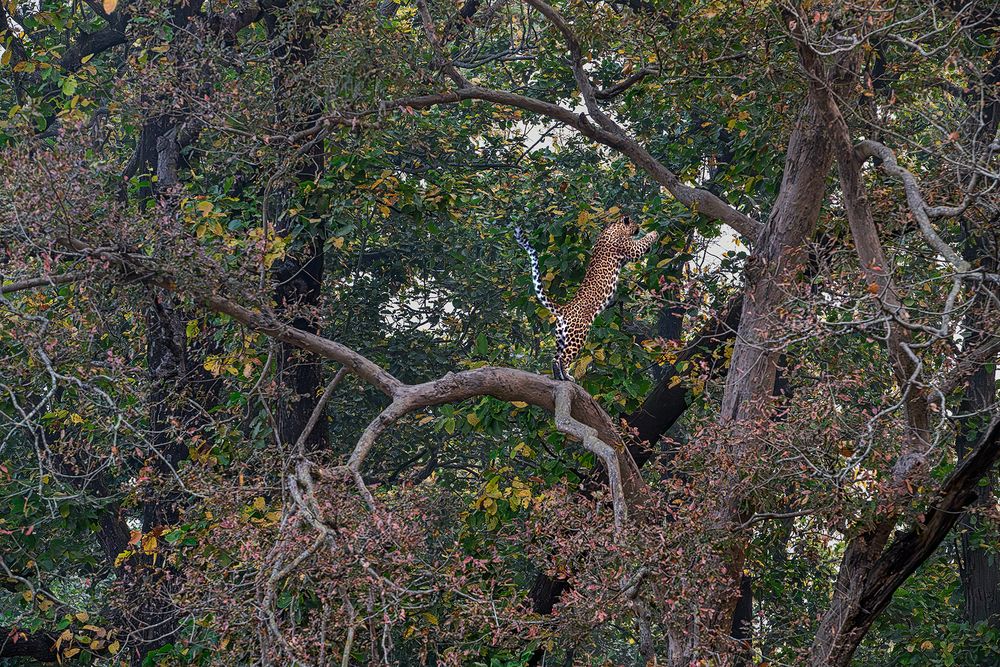 Photograph by SUBHAMAY  KARMAKAR