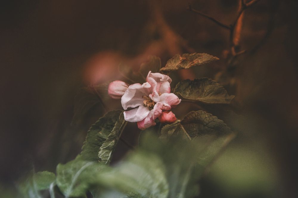 Photograph by Yuri Afanasyev