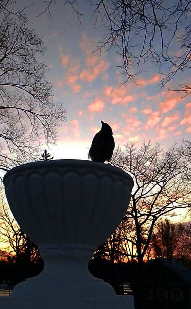 Photograph by Александр Зарх