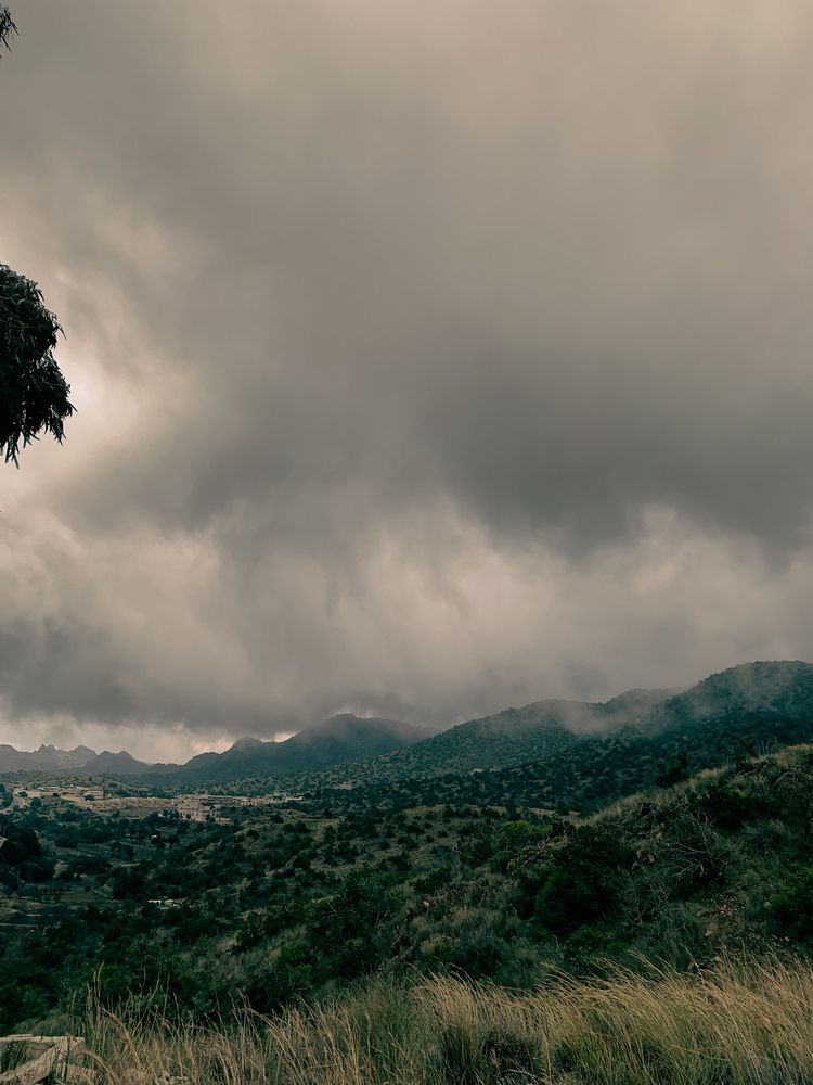Photograph by Sara Ali