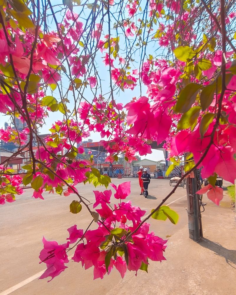 Nature\'s vibrant framing at the heart of industry