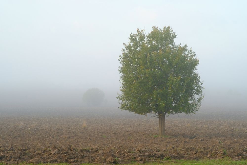 Photograph by Денис Ахметсафин