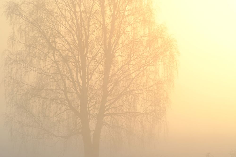 Photograph by Денис Ахметсафин
