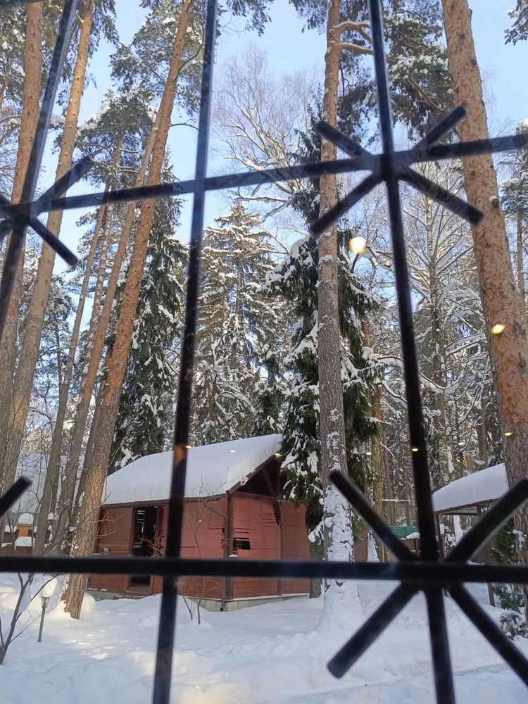 Photo #13539420