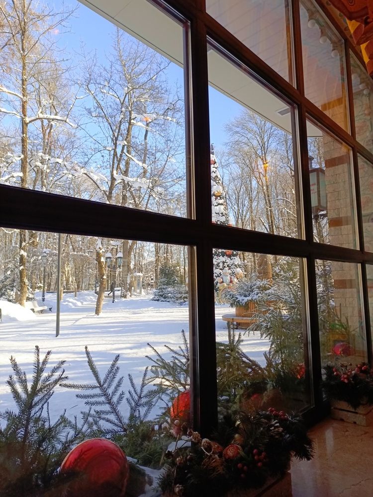 Photo #13539421