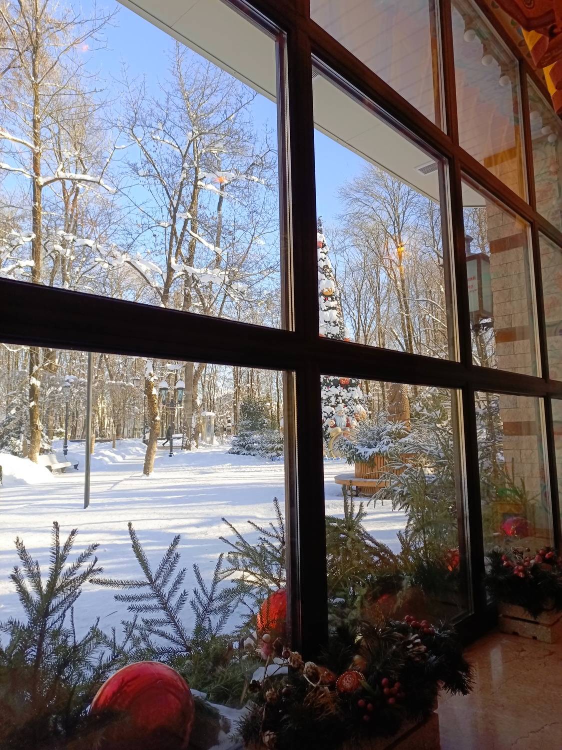 Photo #13539421