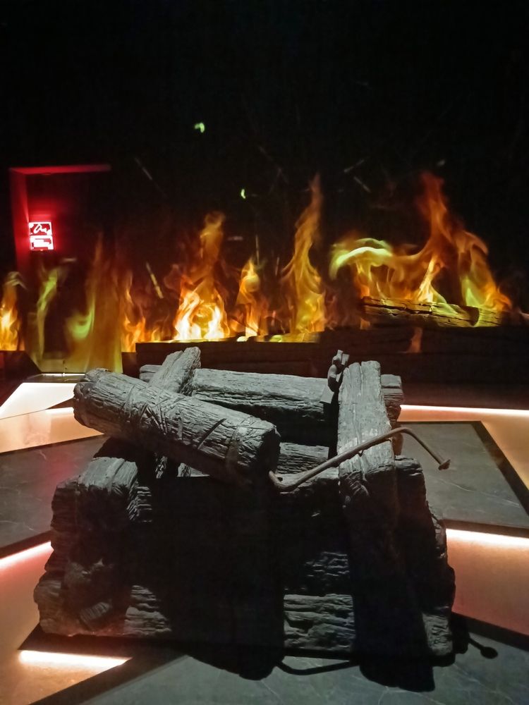 Photo #13539437