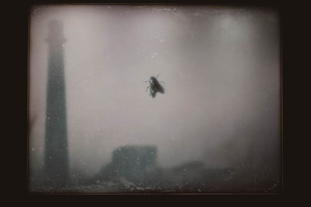 Photograph by Никита Зубов