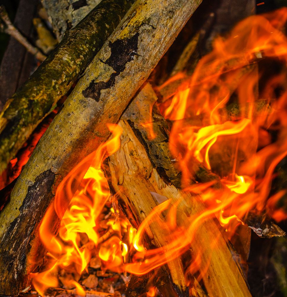 Photograph by Евгений Каримов