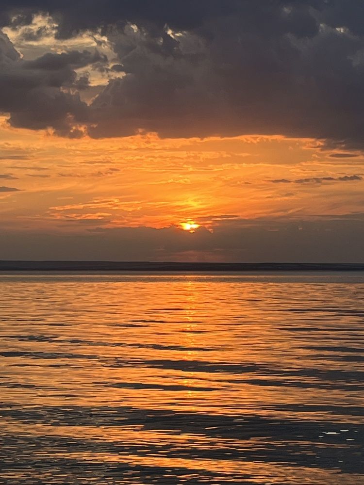 Photograph by Елена Вешнякова