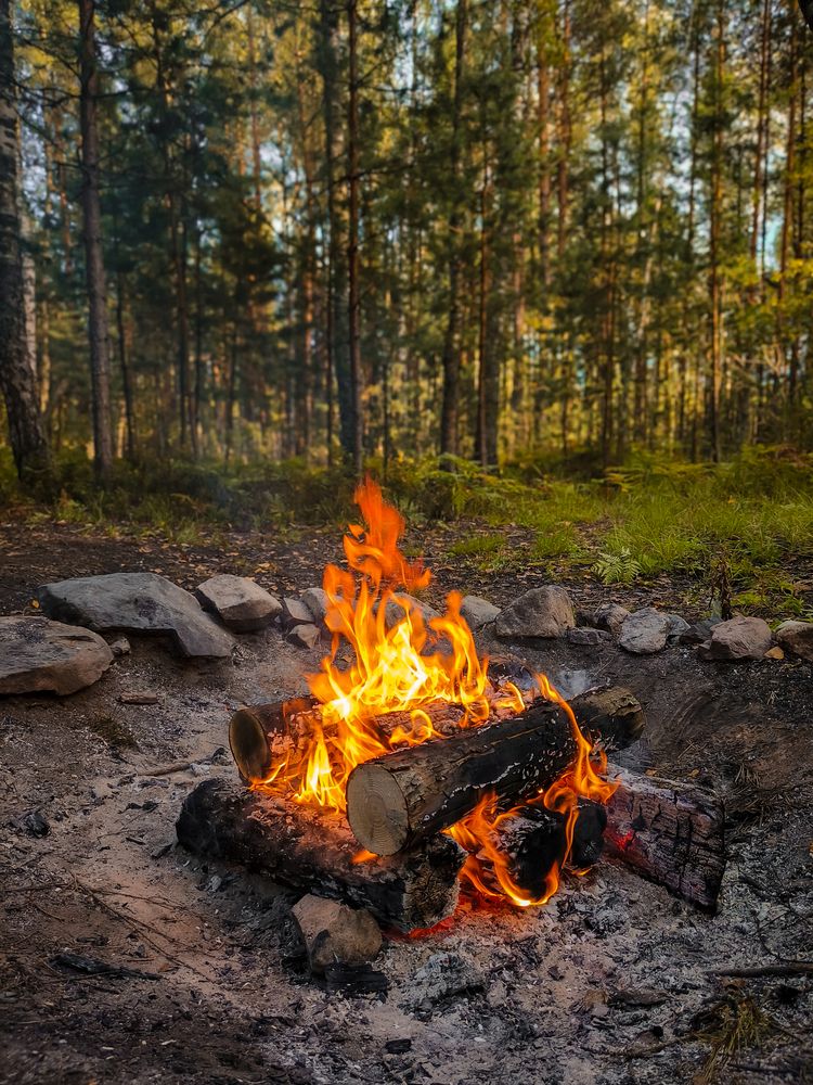 Photograph by Александр Хухлов