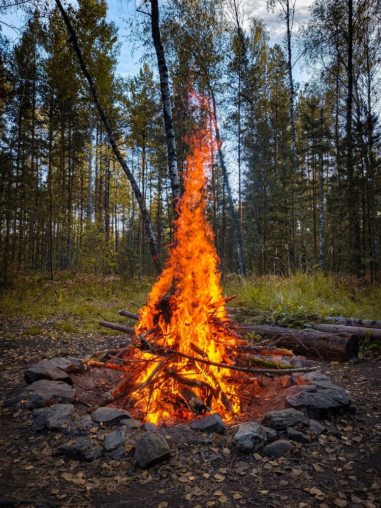 Photograph by Александр Хухлов