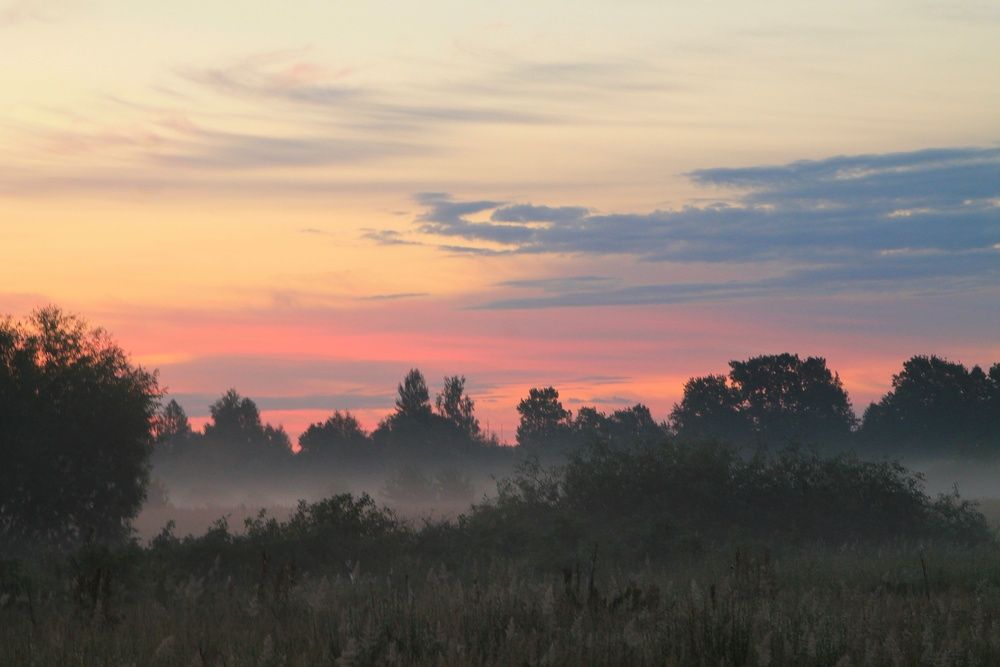 Photograph by Виктория Хмара